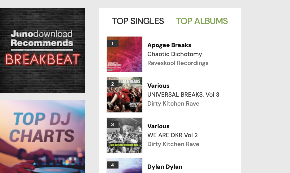 Chaotic Dichotomy Album Art